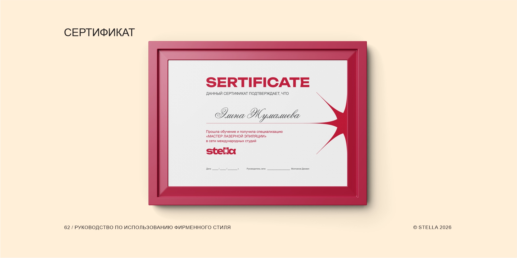 Фирменный стиль для студии STELLA