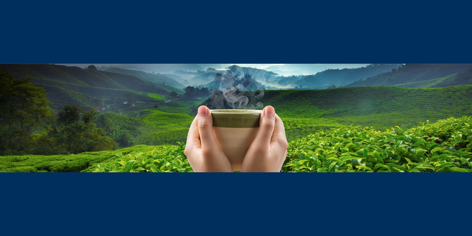 География вкуса