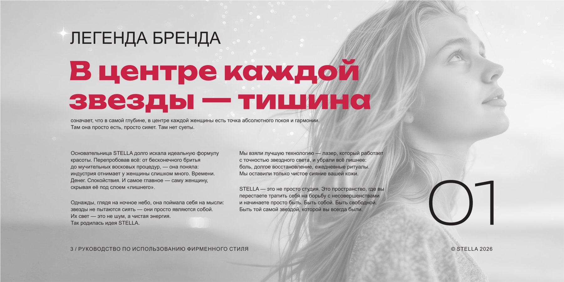 Фирменный стиль для студии STELLA