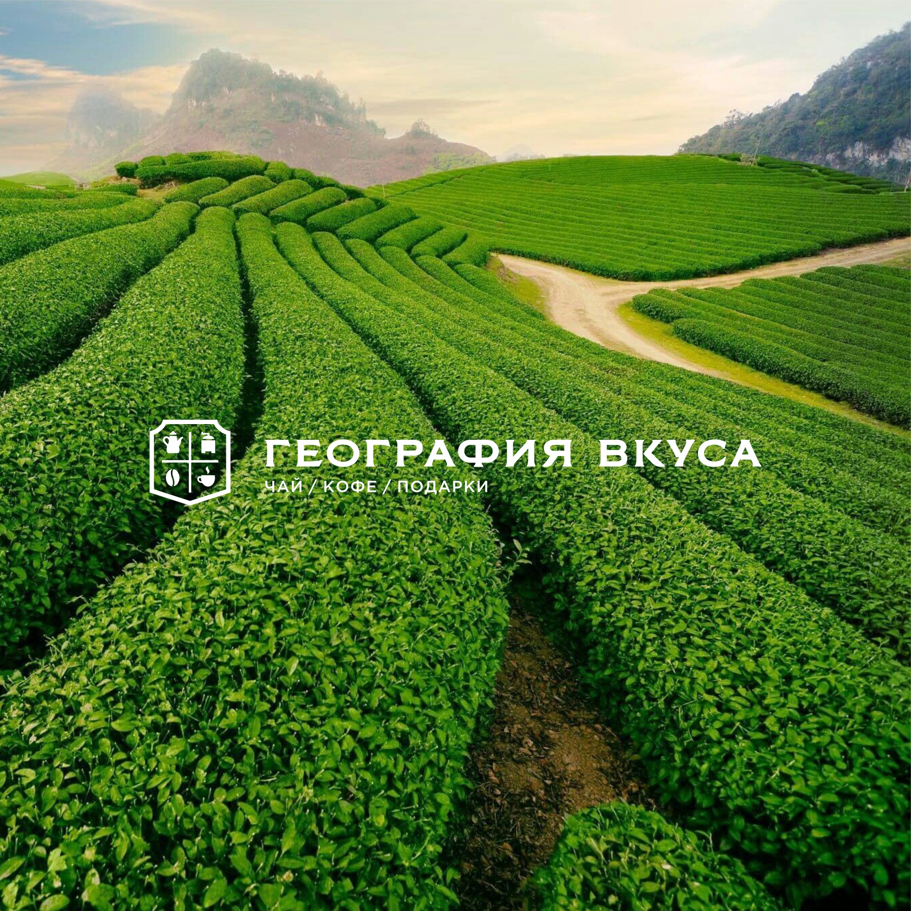 География вкуса